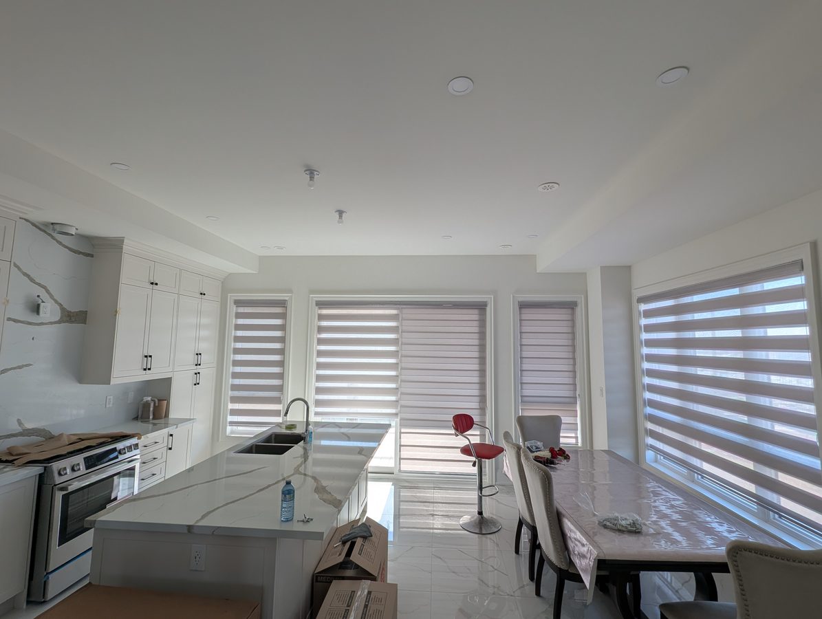 Zebra Blinds